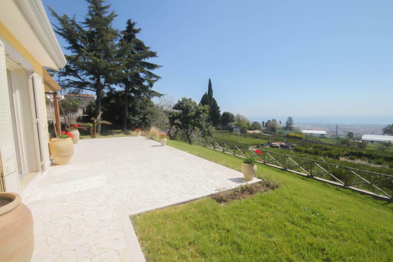 Villa Palm Hill Piedimonte Etneo Ngoại thất bức ảnh