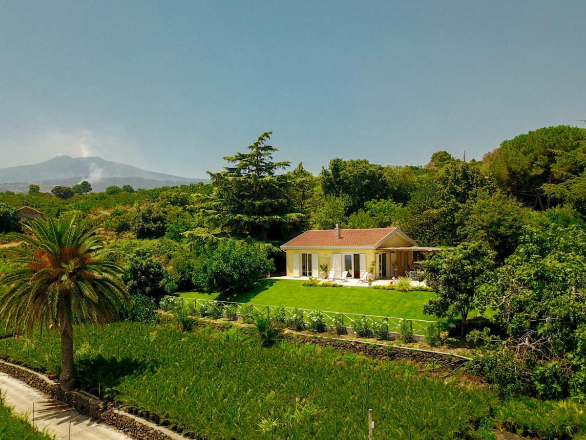 Villa Palm Hill Piedimonte Etneo Ngoại thất bức ảnh